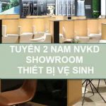 Showroom Thiết bị vệ sinh TOTO Luân Phương Tp Vinh tuyển 2 nam NVKD