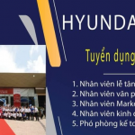 Ô TÔ Hyundai Vinh Tuyển Nhân viên chăm sóc khách hàng